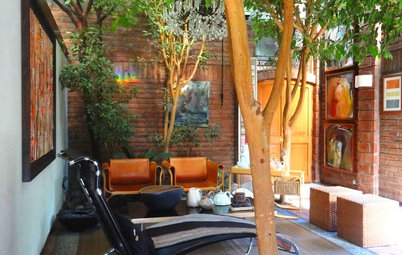 Houzz Tour: Eclectic Chilean Home Embraces Trees