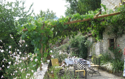 How to Find the Perfect Pergola for Your Garden