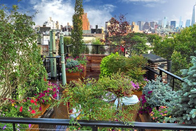 Patio container garden - mid-sized contemporary patio container garden idea in New York with decking and no cover