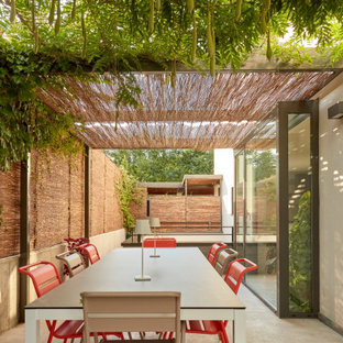 Modelo de patio contemporáneo con pérgola