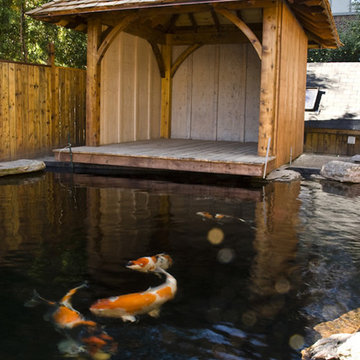 Koi Pond