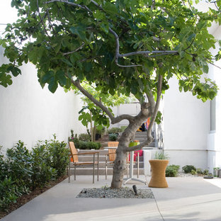 Foto di un patio o portico contemporaneo con lastre di cemento e nessuna copertura