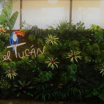 Latin American Restaurant Vertical Garden