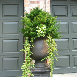 Idee per un patio o portico chic di medie dimensioni e davanti casa con un giardino in vaso, lastre di cemento e nessuna copertura