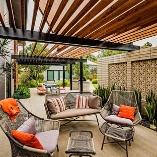 Immagine di un grande patio o portico moderno nel cortile laterale con lastre di cemento, una pergola e un caminetto