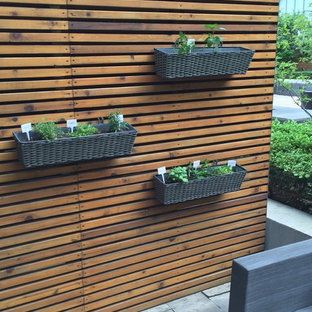 Foto di un piccolo patio o portico minimalista dietro casa con un giardino in vaso, nessuna copertura e pavimentazioni in cemento