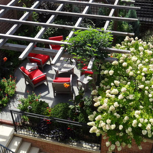Immagine di un patio o portico american style di medie dimensioni e in cortile con un giardino in vaso, pavimentazioni in cemento e una pergola