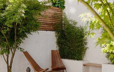 Houzz Call: Show Us Your Patio, Deck or Rooftop