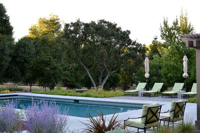 This is an example of a contemporary patio in San Francisco.