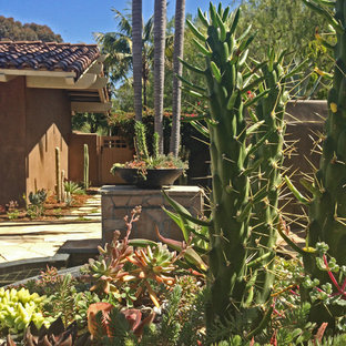 Esempio di un grande patio o portico stile americano dietro casa con un giardino in vaso e pavimentazioni in pietra naturale