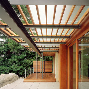 Foto di un grande patio o portico minimal dietro casa con pavimentazioni in cemento e un parasole