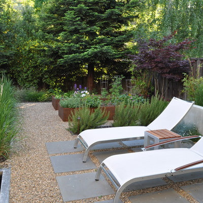 Elegant patio container garden photo in San Francisco