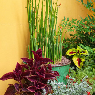 Esempio di un patio o portico boho chic in cortile con un giardino in vaso