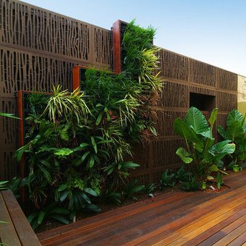 Melbourne Modern Courtyard
