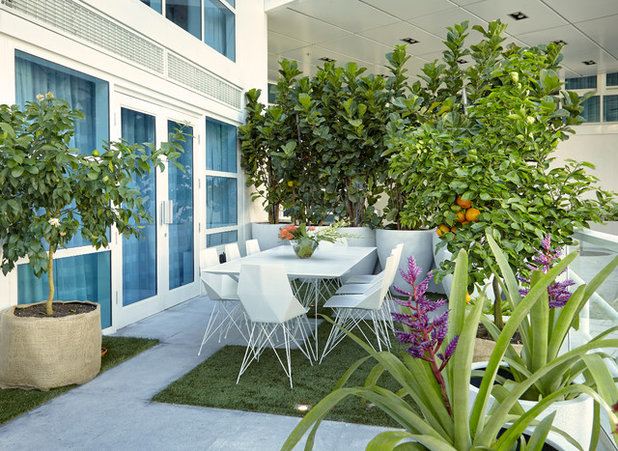 Contemporary Patio by J Design Group - Interior Designers Miami - Modern