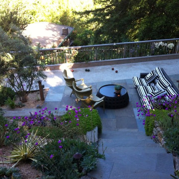 Mill Valley Modern garden
