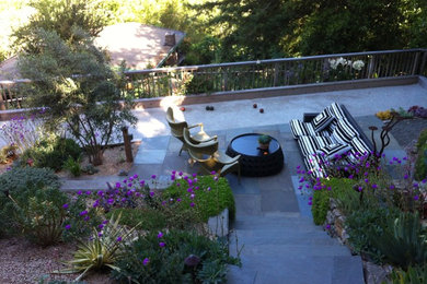 Mill Valley Modern garden