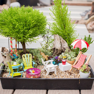 Miniature Garden Design