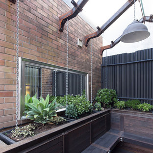 Esempio di un piccolo patio o portico industriale in cortile con un giardino in vaso, pedane e una pergola