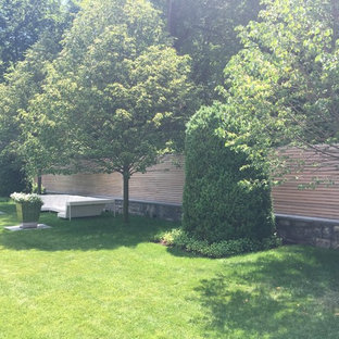 Ispirazione per un ampio patio o portico moderno dietro casa con fontane e lastre di cemento