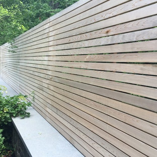 Esempio di un ampio patio o portico minimalista dietro casa con fontane e lastre di cemento