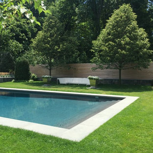 Idee per un ampio patio o portico minimalista dietro casa con fontane e lastre di cemento