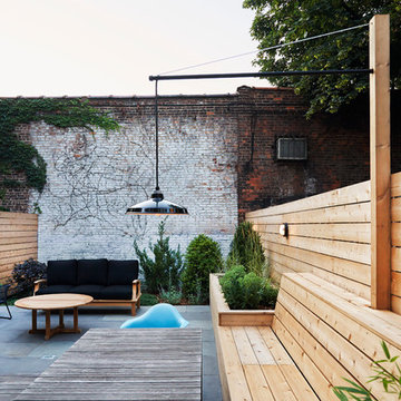 Modern in Bed-Stuy