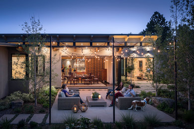 Inspiration for a contemporary backyard concrete patio remodel in Denver with no cover