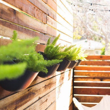 Modern Outdoor Patio with Hanging Plants and String Lights