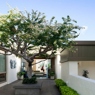 Imagen de patio minimalista en patio