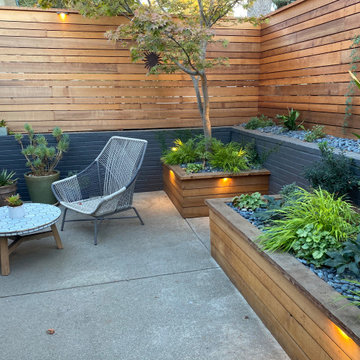 Modern Small Orinda Garden