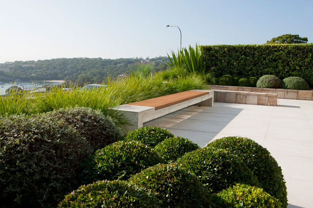 Modern Patio by Secret Gardens