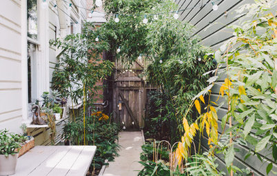 10 Ways to Make the Most of Your Side Yard