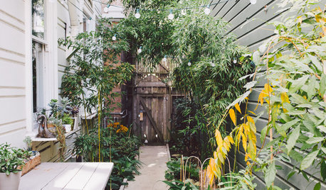 10 Ways to Make the Most of Your Side Yard