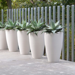 My Houzz: Modern Simplicity in Dallas