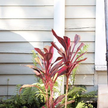 My Houzz: Nature-Inspired Home for Work and Play in New Orleans