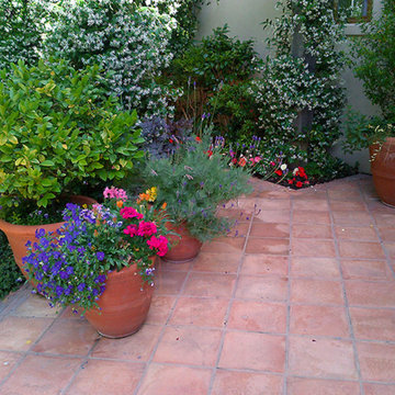 Backyard Tile Patio and Landscape