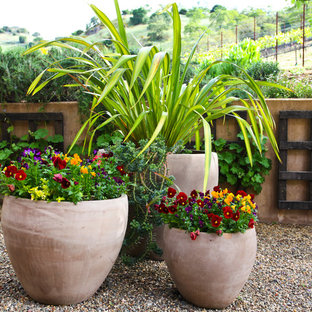 Foto di un patio o portico mediterraneo dietro casa con un giardino in vaso, graniglia di granito e nessuna copertura