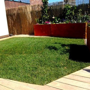 Immagine di un ampio patio o portico moderno davanti casa con un giardino in vaso, pedane e un tetto a sbalzo