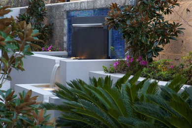 Immagine di un patio o portico contemporaneo di medie dimensioni e dietro casa