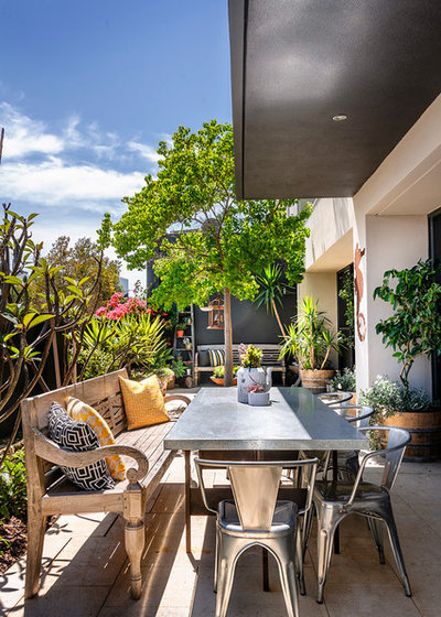 Contemporary Patio by Collected Interiors