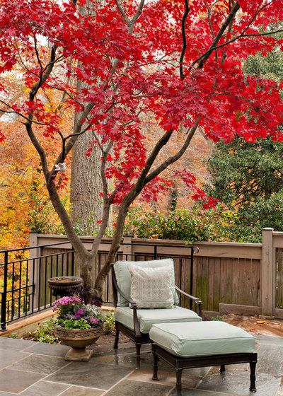 Traditional Patio by Tiger Lily Landscapes, LLC