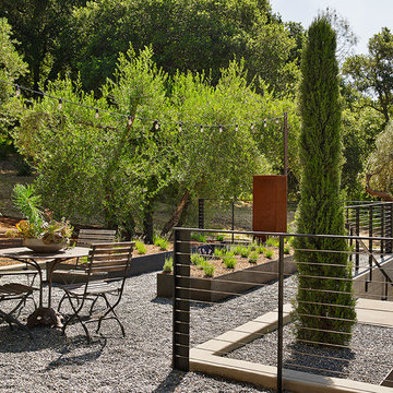 Olive Grove
