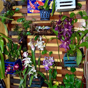 Orchid Wall