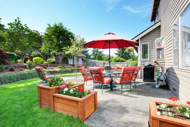 Imagen de patio clásico renovado de tamaño medio sin cubierta en patio trasero con jardín de macetas