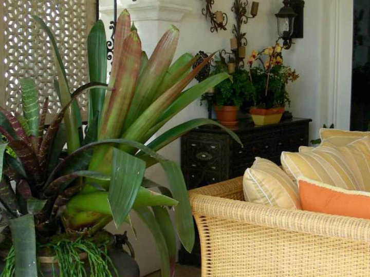 Southwestern Patio