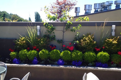 Example of a mid-sized classic backyard patio container garden design in Seattle with no cover