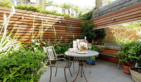 Stylish Ways to Create Privacy in your Garden