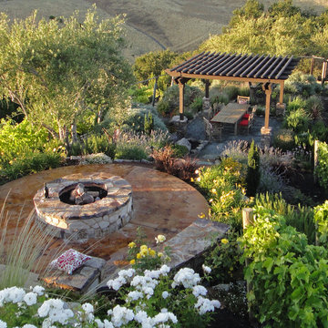 Outdoor living set in a vineyard with a pergola, fire pit, & landscape lighting