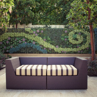 Inspiration for a contemporary courtyard patio vertical garden remodel in Los Angeles